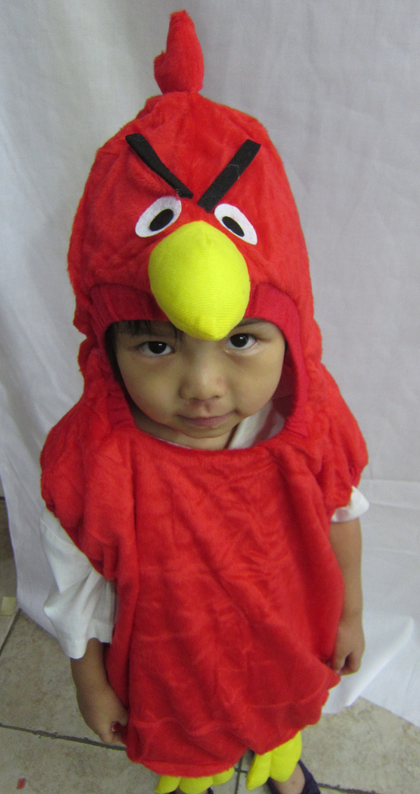 Angry Bird Costume
